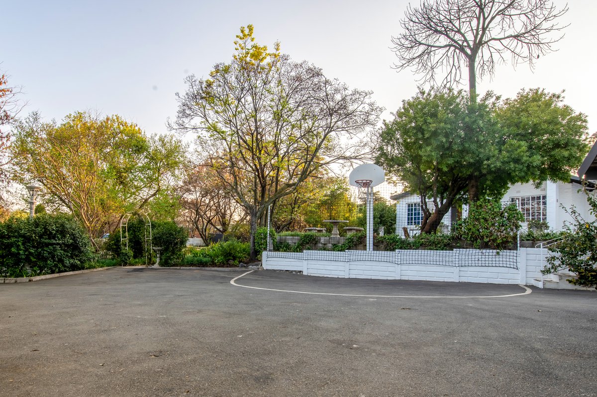 Basketball court