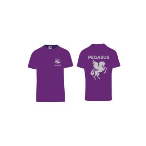 Pegasus house t-shirt
